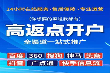 百度推广与SEO结合案例：提升网站排名的技巧